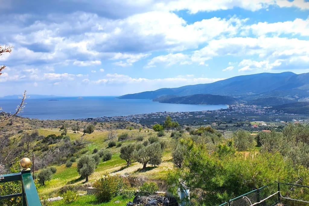 Villa Theonymfi Galatakion
